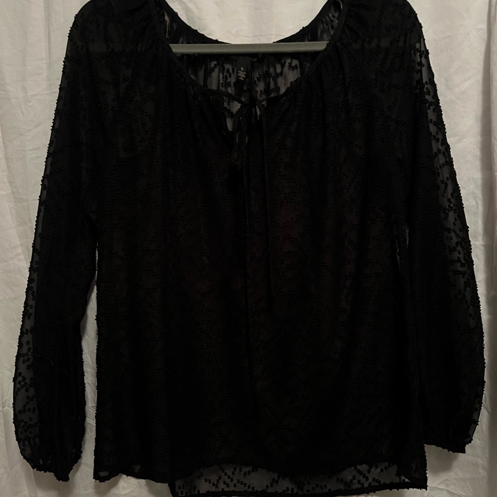 Elegant Black Sheer Women's Top